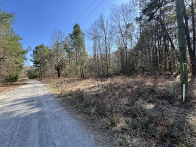 /international/us/lot-7-wisteria-falls-trail-saint-stephen-sc-110099541131/