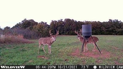 /international/us/e-850-road-chandler-ok-110080640146/