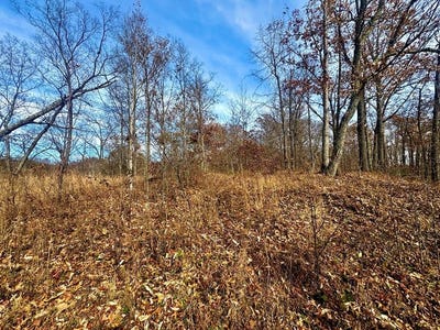 /international/us/00-129-00-00-051-00-ridgeline-road-raccoon-ky-110103673500/
