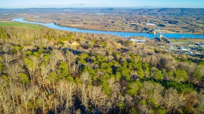 /international/us/dogwood-trail-south-pittsburg-tn-110120158331/