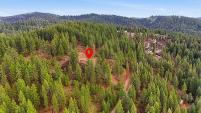 /international/us/timberlane-cir-mead-wa-110105638516/