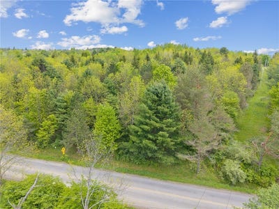 /international/us/lot-7b-blackman-hill-road-caroline-ny-110097925417/?lang=zh-cn
