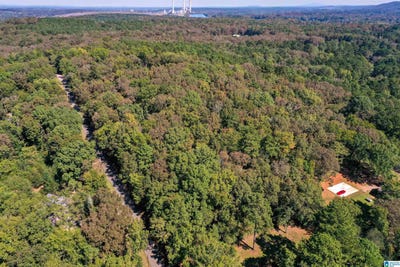 /international/us/285-river-drive-lot-25-wilsonville-al-110108496576/