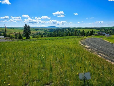 /international/us/red-tail-ridge-lot-11-colfax-wa-110108339943/