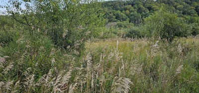 /international/us/lot-108-white-flagg-lane-la-valle-wi-110094381735/?lang=zh-cn