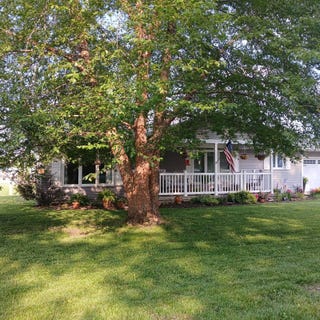/international/us/101-acorn-drive-bridgeport-il-110100100492/