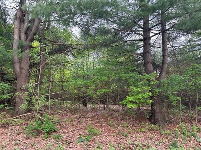 /international/us/-leatherwood-drive-clarion-pa-110108140556/