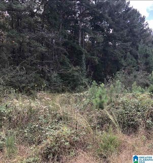 /international/us/thomaston-road-lincoln-al-110100560245/