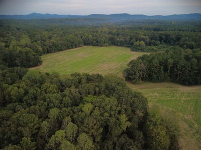 /international/us/highway-25-wilsonville-al-110120557612/