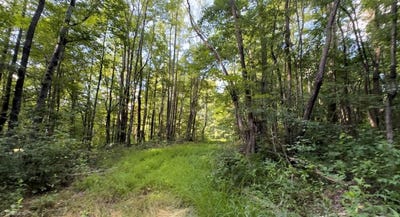 /international/us/tbd-3-peter-mabe-road-danbury-nc-110091263462/?lang=en