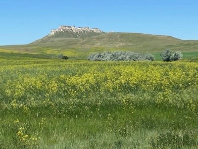 /international/us/16547-highway-79-newell-sd-110106314188/