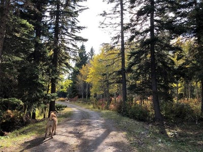 /international/us/lots-8-10-valley-view-road-lincoln-mt-110098274038/