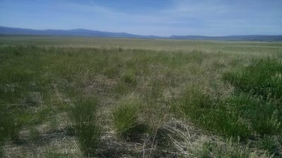 /international/us/nna-nna-635-48-acres-airport-rd-bancroft-id-110103112407/