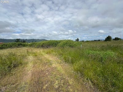 /international/us/1-springer-st-cathlamet-wa-110099815007/?lang=zh-cn
