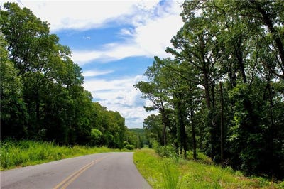 /international/us/3990-cr-207-eureka-springs-ar-110100723626/?lang=en
