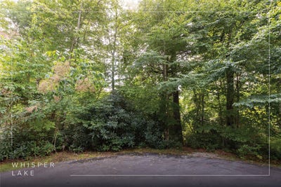 /international/us/231r-pine-forest-court-lot-231-r-sapphire-nc-110110223099/