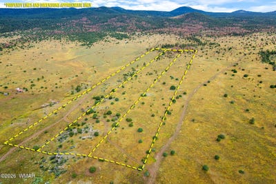 /international/us/county-rd-n1334-greer-az-110120020225/