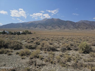 /international/us/224-toiyabe-road-austin-nv-110101958673/