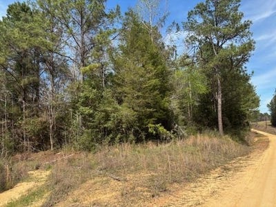 /international/us/conecuh-river-church-rd-andalusia-al-110105902651/