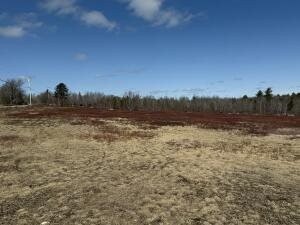 /international/us/map13lot21-route-199-route-penobscot-me-110100618598/?lang=zh-tw