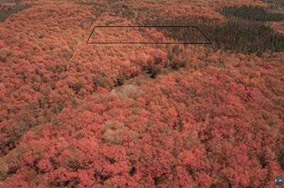 /international/us/power-line-road-lot-parcel-9-iron-river-wi-110103120192/