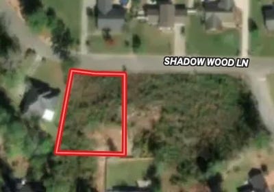 /international/us/shadow-woods-lane-lot-25-blk-c-ozark-al-110108203259/