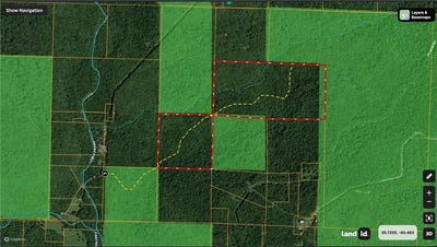 /international/us/panther-creek-road-oark-ar-110120552045/