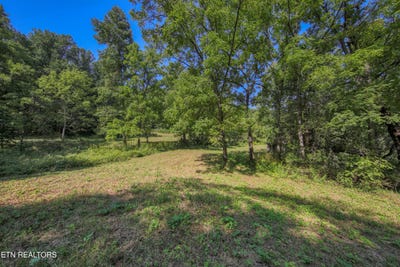 /international/us/belcher-loop-tellico-plains-tn-110110232438/