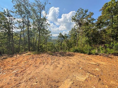 /international/us/8888-cedar-creek-farm-road-tuckasegee-nc-110102425421/