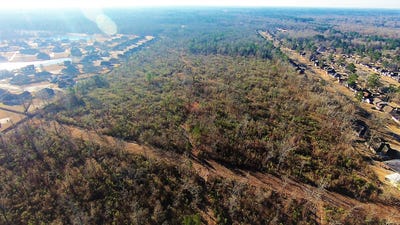 /international/us/williamson-way-shreveport-la-110120497573/