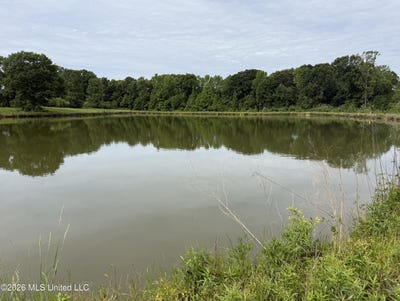 /international/us/813-holmesville-road-jayess-ms-110107483388/