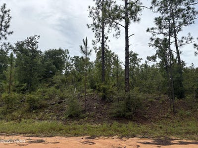 /international/us/lot-29-odum-street-alford-fl-110101349944/