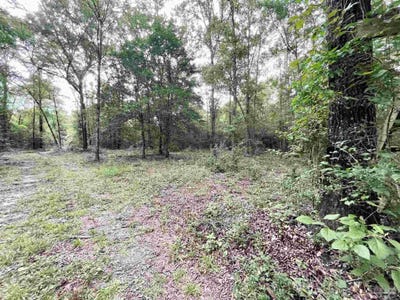 /international/us/4599-brushy-creek-rd-range-al-110101096342/
