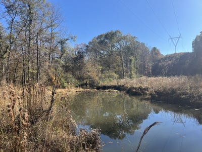 /international/us/0-county-road-441-wilsonville-al-110103603300/