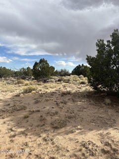 /international/us/tbd-n7273-st-johns-az-110094984159/