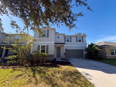 /international/us/7607-tangle-rush-drive-gibsonton-fl-110120121444/