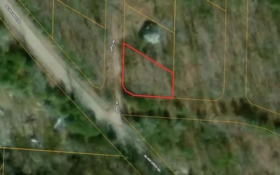 /international/us/apple-road-merriam-woods-mo-110108028874/