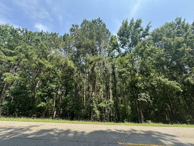 /international/us/lot-1-e-ridge-road-appling-ga-110100511569/