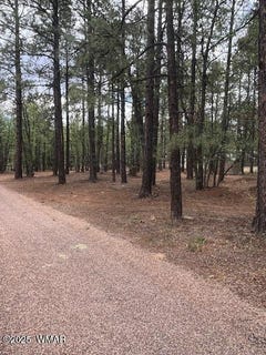 /international/us/5480-apache-trail-pinetop-az-110100549180/