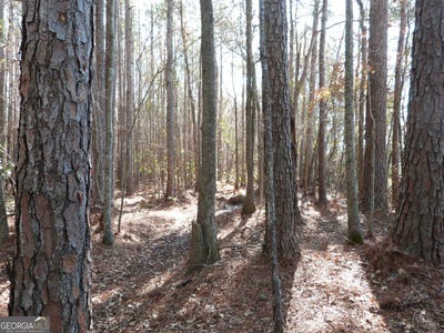 /international/us/0-highway-119-north-ellabell-ga-110097330119/