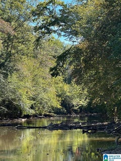 /international/us/county-road-492-lot-1-muscadine-al-110108496484/
