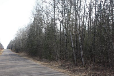/international/us/50xx-s-maple-dr-poplar-wi-110105795137/