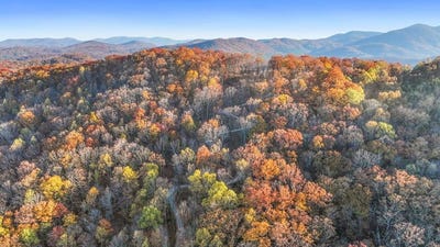 /international/us/lot-4-wilderness-way-blue-ridge-ga-110104624339/