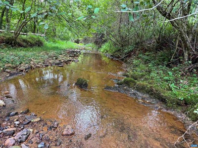 /international/us/old-green-mountain-rd-lot-00500-esmont-va-110102203863/