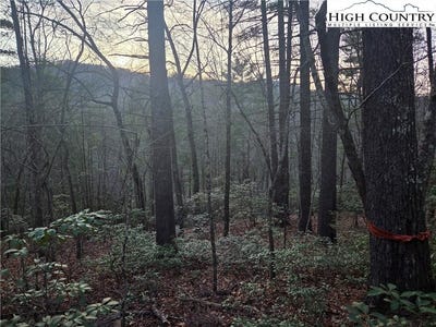 /international/us/roaring-ridge-road-lot-105-deep-gap-nc-110104580576/