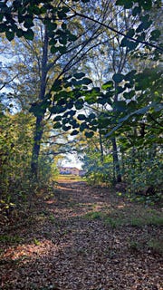/international/us/8092-highway-393-laurel-hill-fl-110103439996/