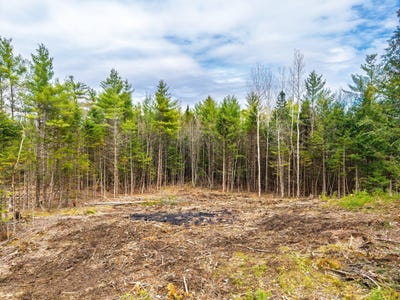 /international/us/3-forest-drive-albany-twp-me-110099301126/?lang=zh-cn