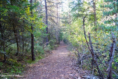 /international/us/30-91acs-french-gulch-rd-kingston-id-110103047154/