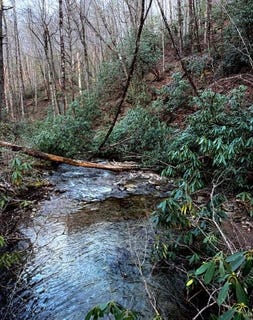 /international/us/bryson-city-nc-110097889805/