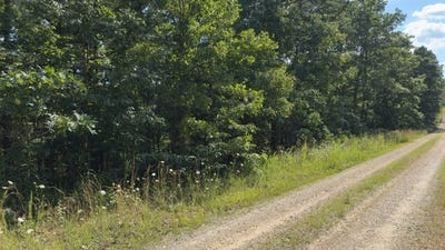 /international/us/2150-golden-road-raymondville-mo-110100745973/